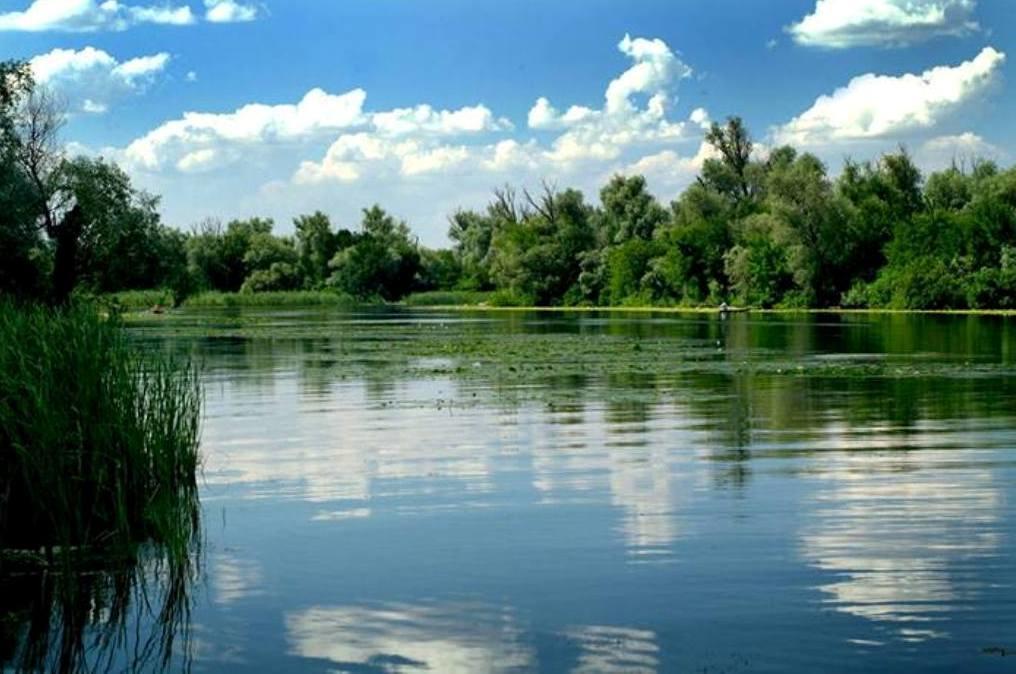Family Complex Ekokomfort Sagunovka Zewnętrze zdjęcie